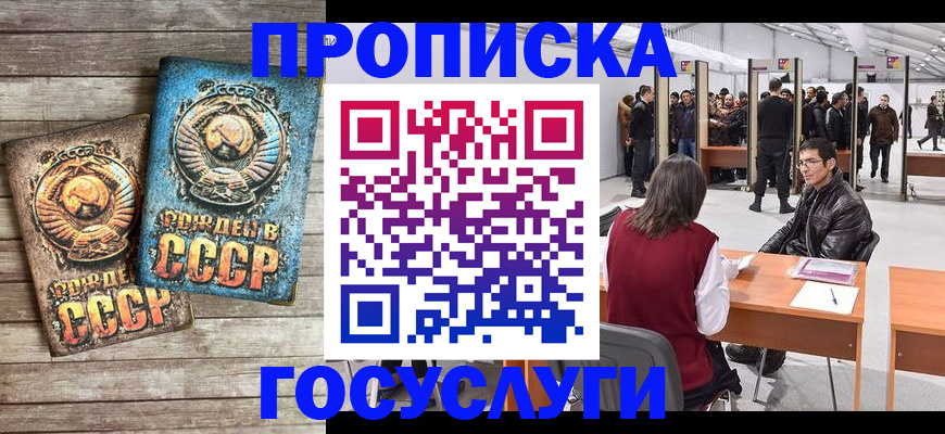 временная регистрация для школы в Петропавловске-Камчатском